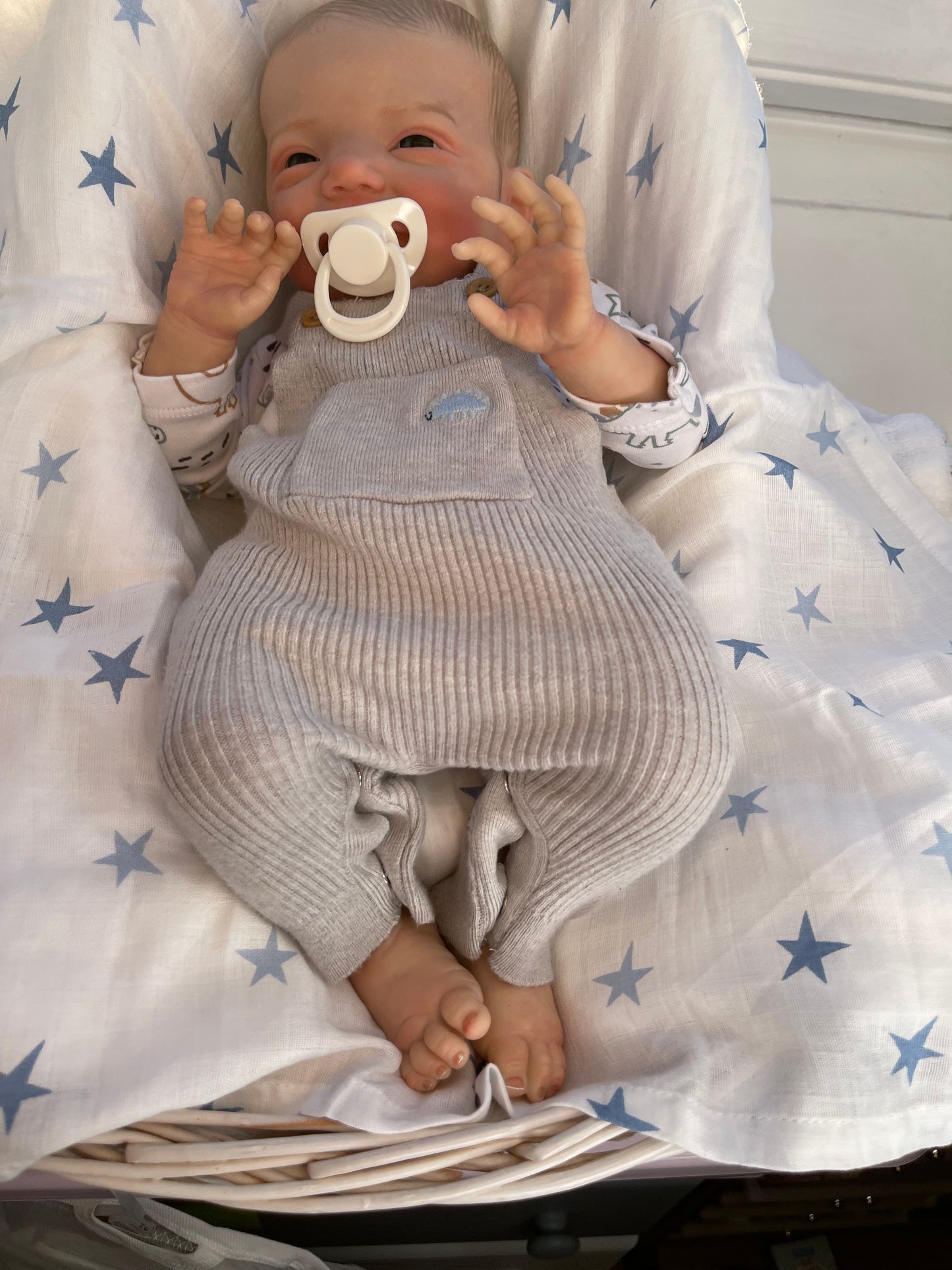 Reborn realistic weighted baby doll