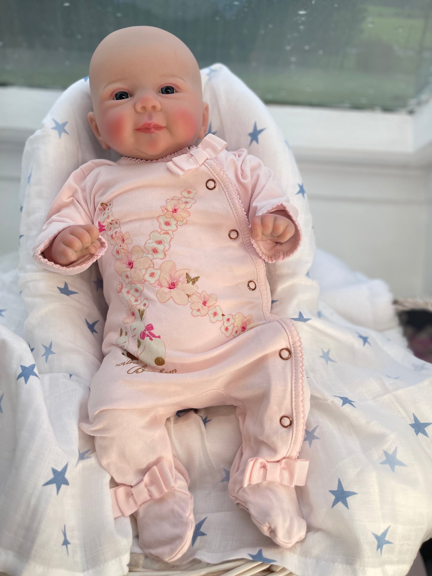 Reborn realistic weighted baby doll