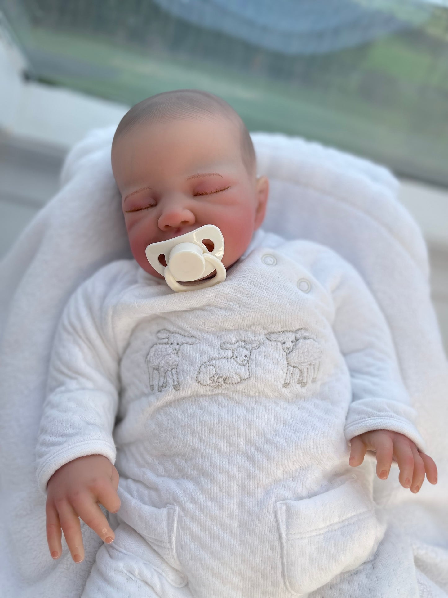 Reborn realistic weighted baby doll